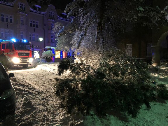 210114_Sammelbericht_Schnee006.JPG  