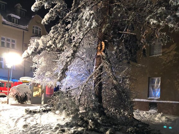 210114_Sammelbericht_Schnee007.JPG  